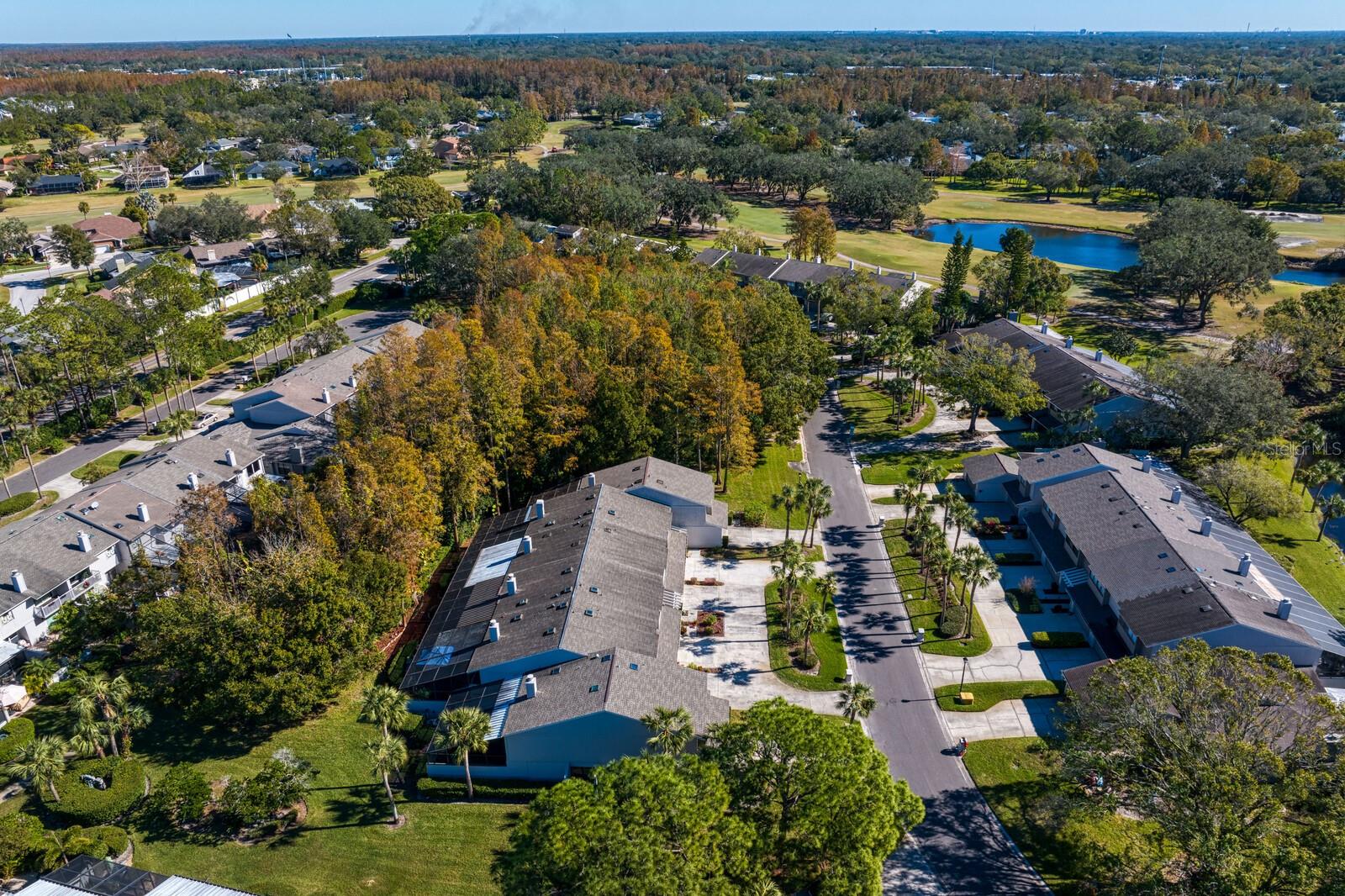 4253 GOLF CLUB LN, TAMPA, FL, 33618