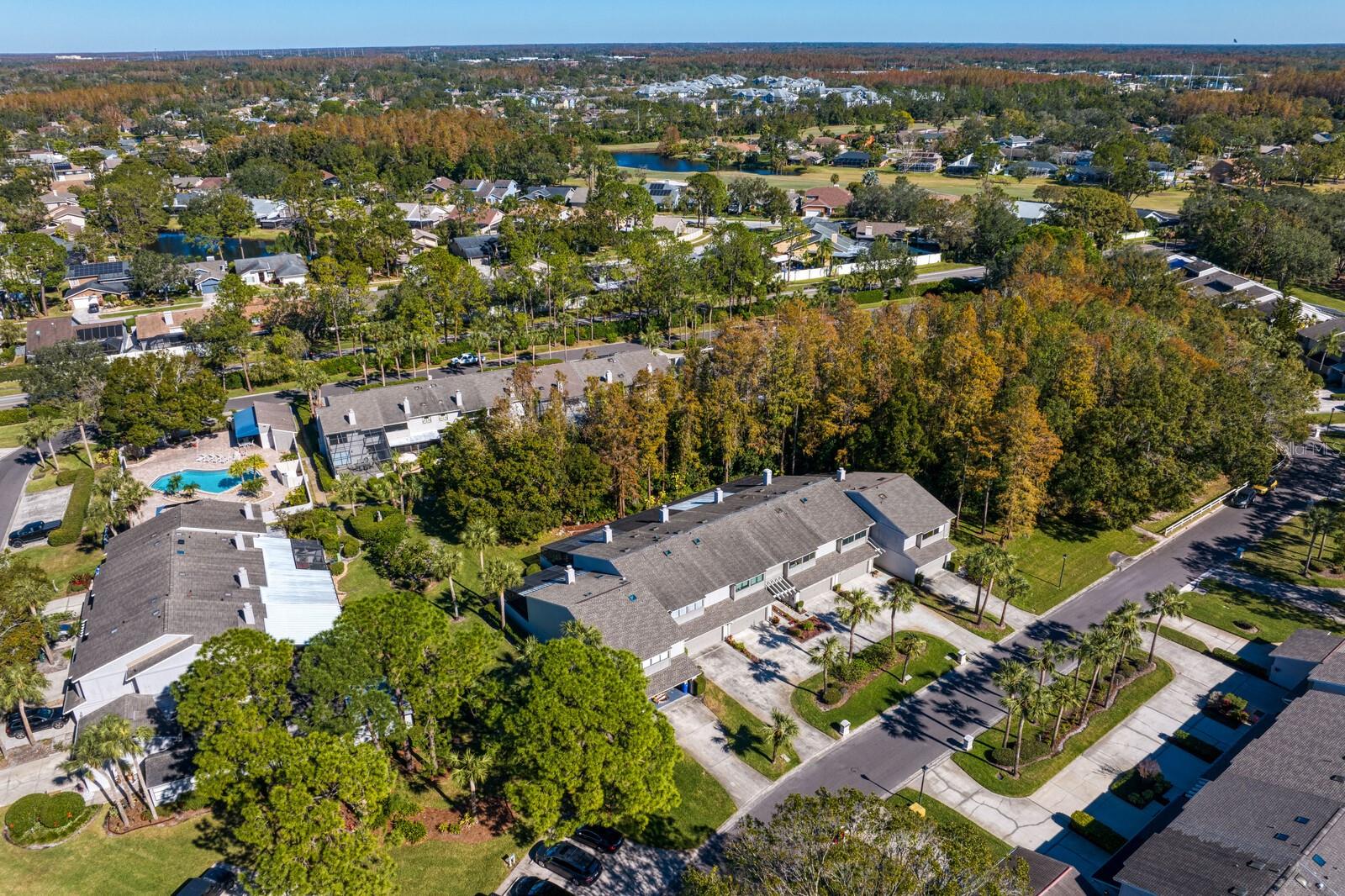 4253 GOLF CLUB LN, TAMPA, FL, 33618