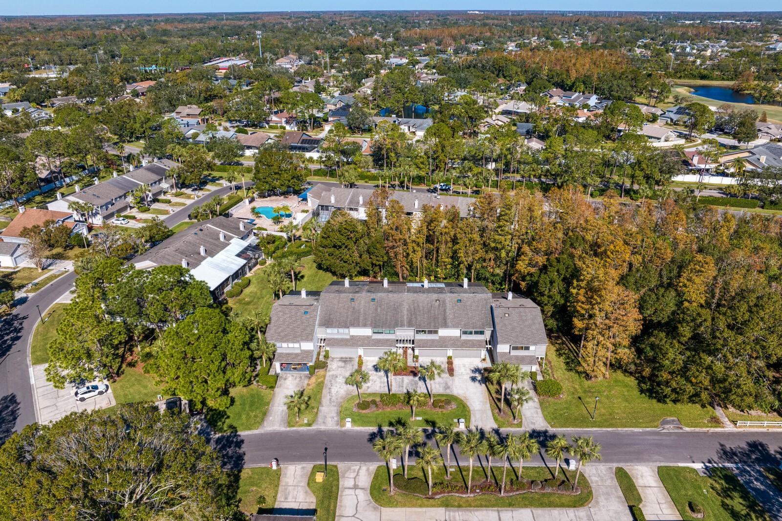 4253 GOLF CLUB LN, TAMPA, FL, 33618