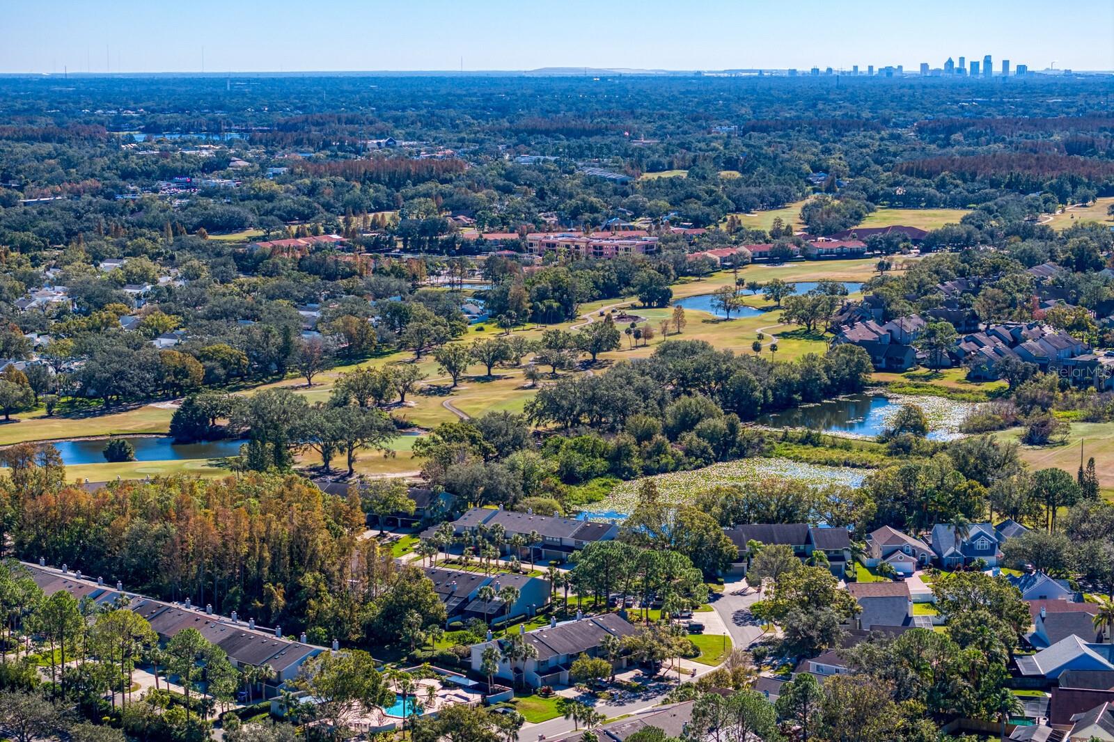 4253 GOLF CLUB LN, TAMPA, FL, 33618