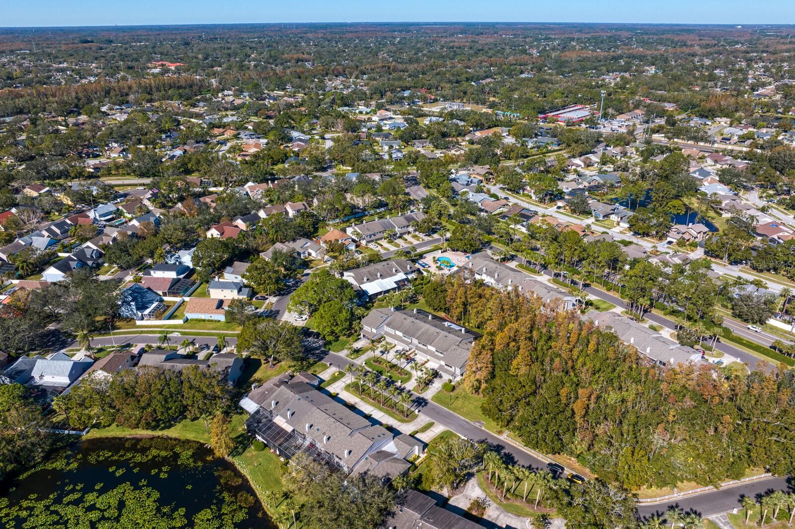 4253 GOLF CLUB LN, TAMPA, FL, 33618