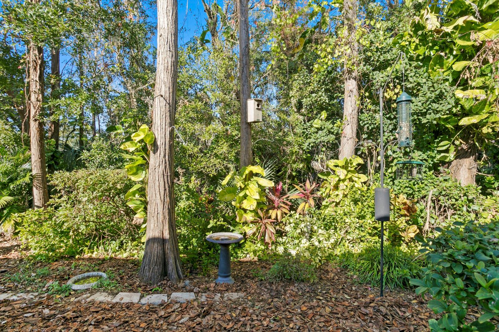 4253 GOLF CLUB LN, TAMPA, FL, 33618