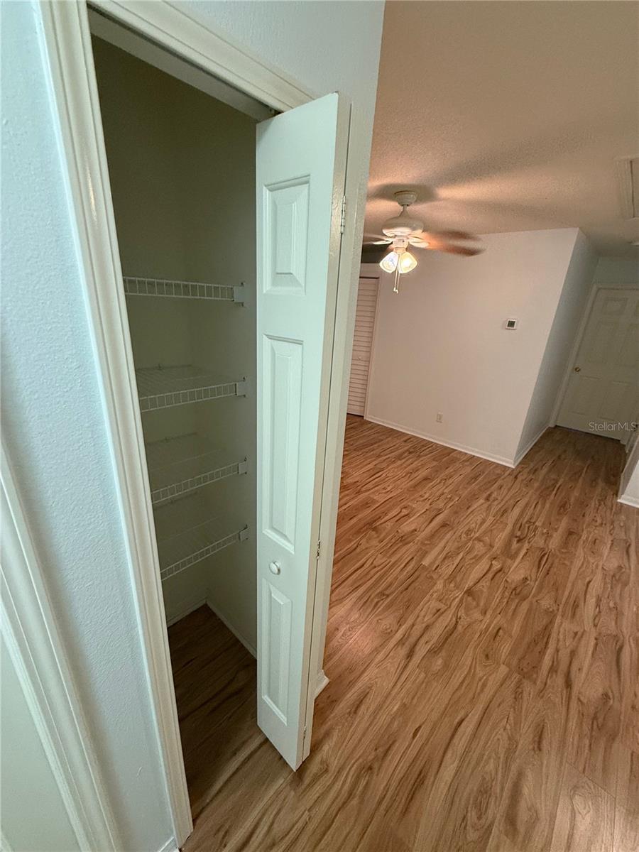 10525 SHADY FALLS CT, RIVERVIEW, FL, 33578