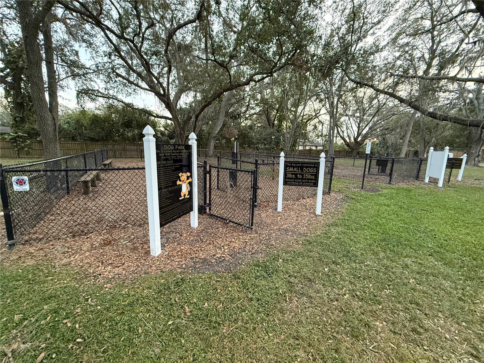 10525 SHADY FALLS CT, RIVERVIEW, FL, 33578