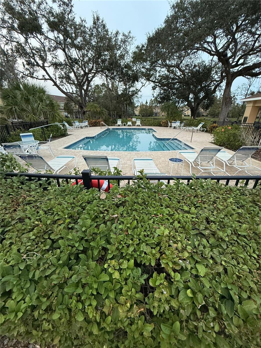 10525 SHADY FALLS CT, RIVERVIEW, FL, 33578