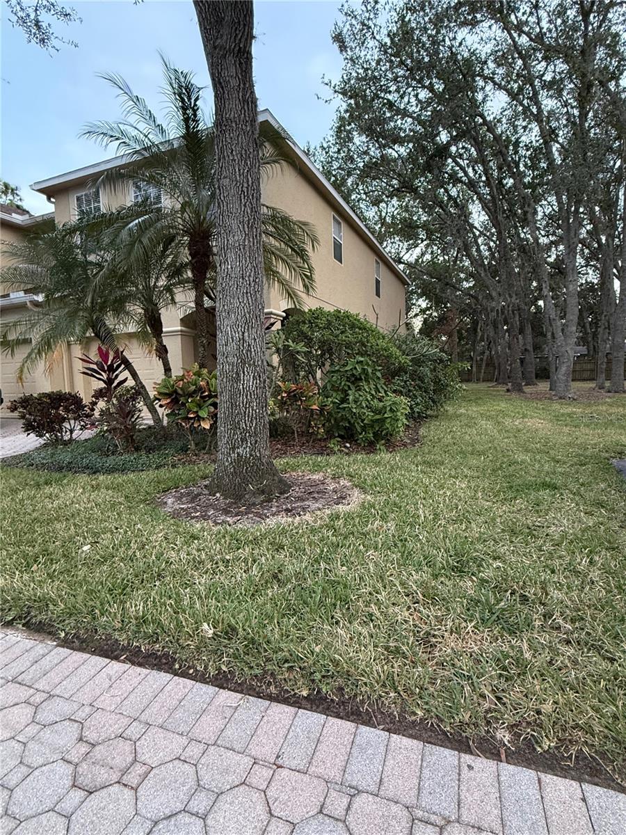 10525 SHADY FALLS CT, RIVERVIEW, FL, 33578