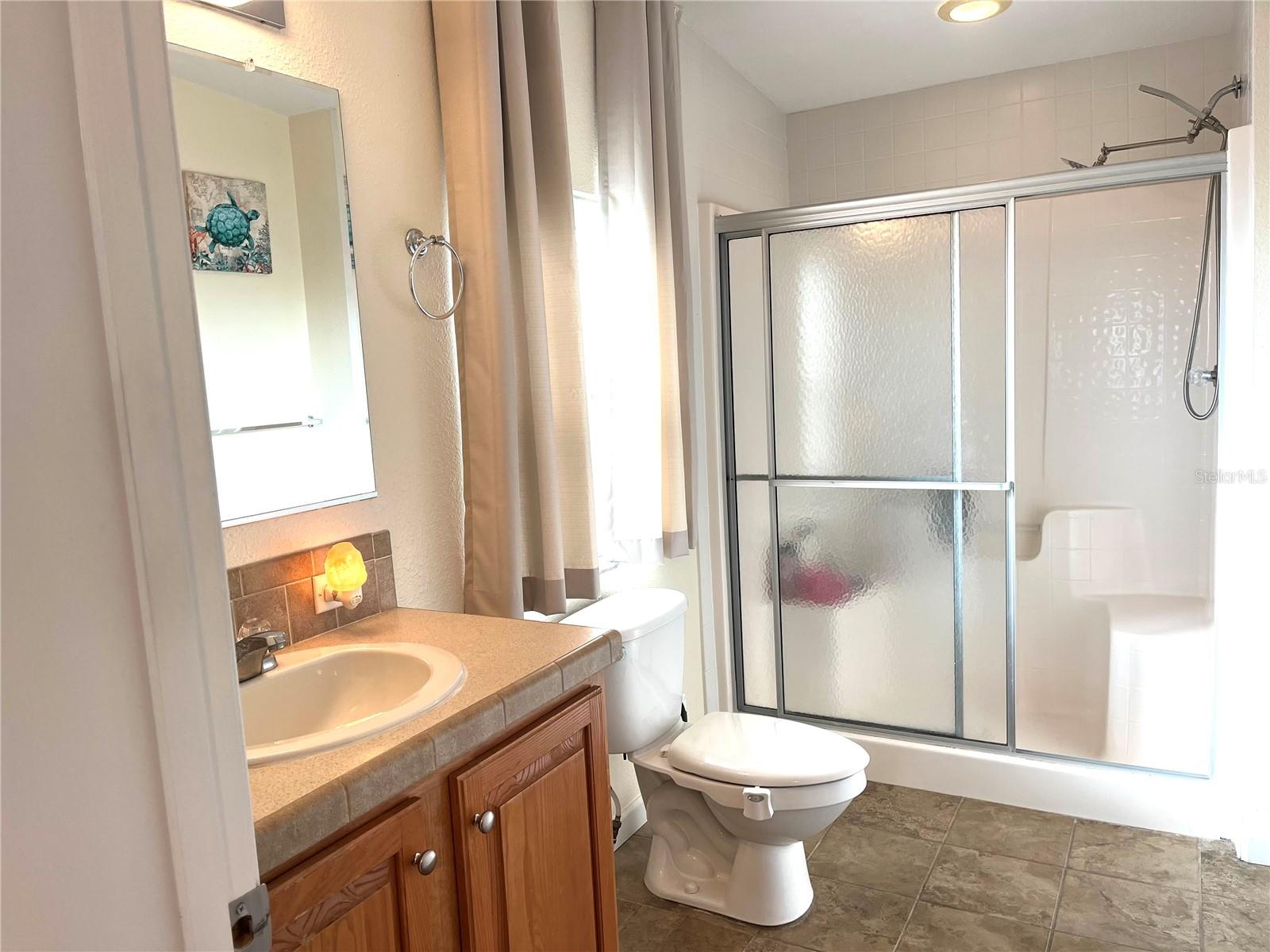 203 MONITOR DR, FLAGLER BEACH, FL, 32136