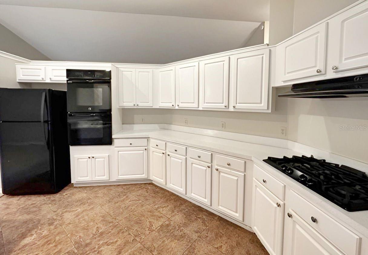 33042 LAKE BEND CIR, LEESBURG, FL, 34788