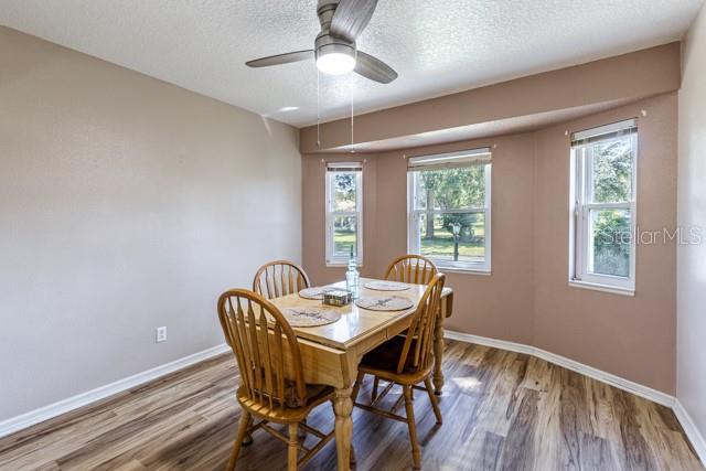 26939 FOREST HILLS ST, LEESBURG, FL, 34748