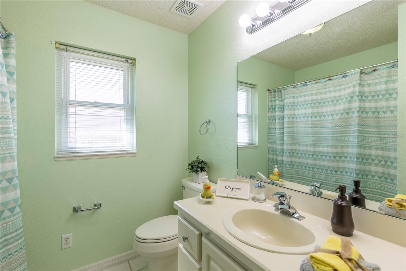 26939 FOREST HILLS ST, LEESBURG, FL, 34748