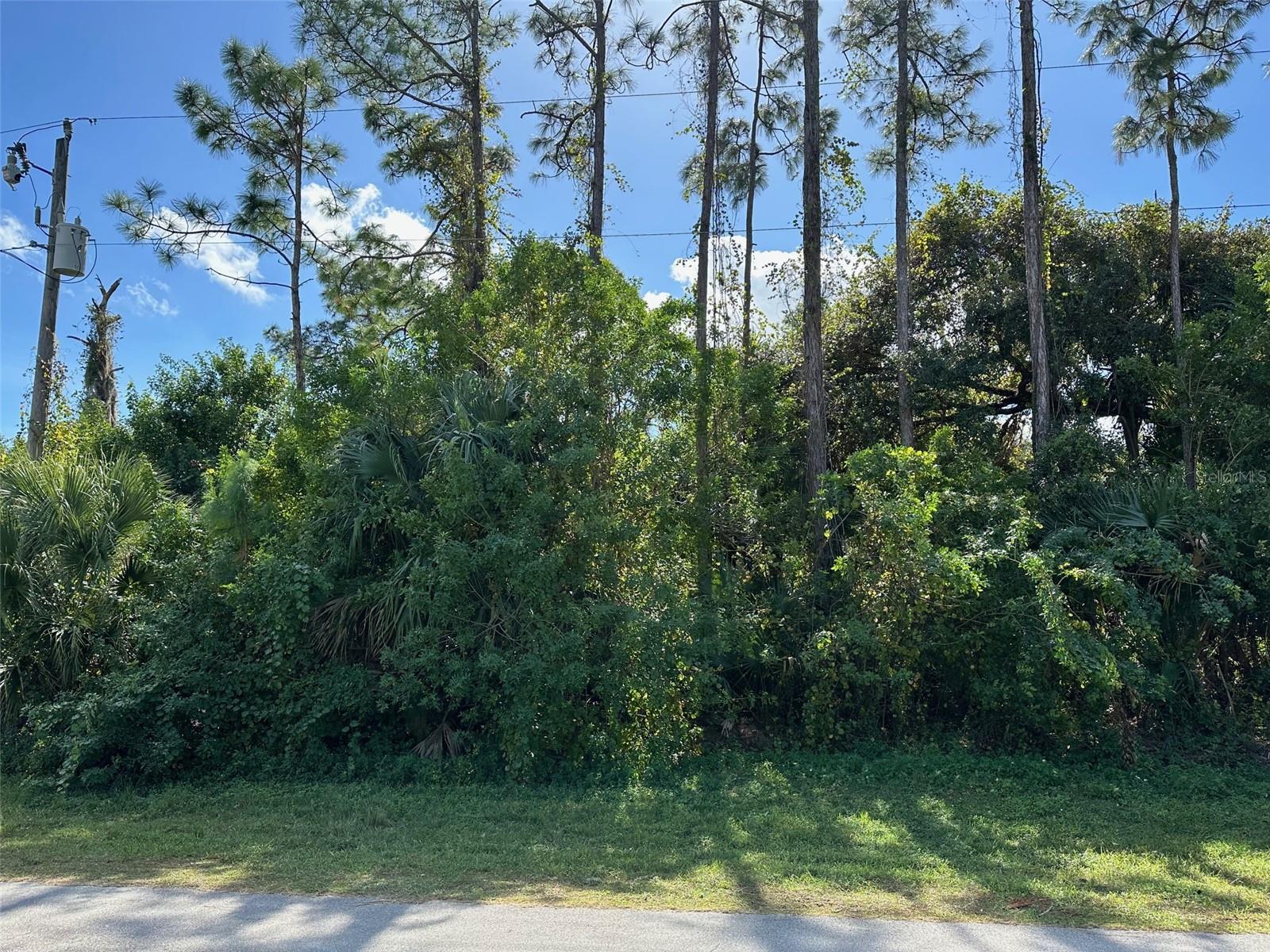 8042 WINDSWEPT CIR, LABELLE, FL, 33935