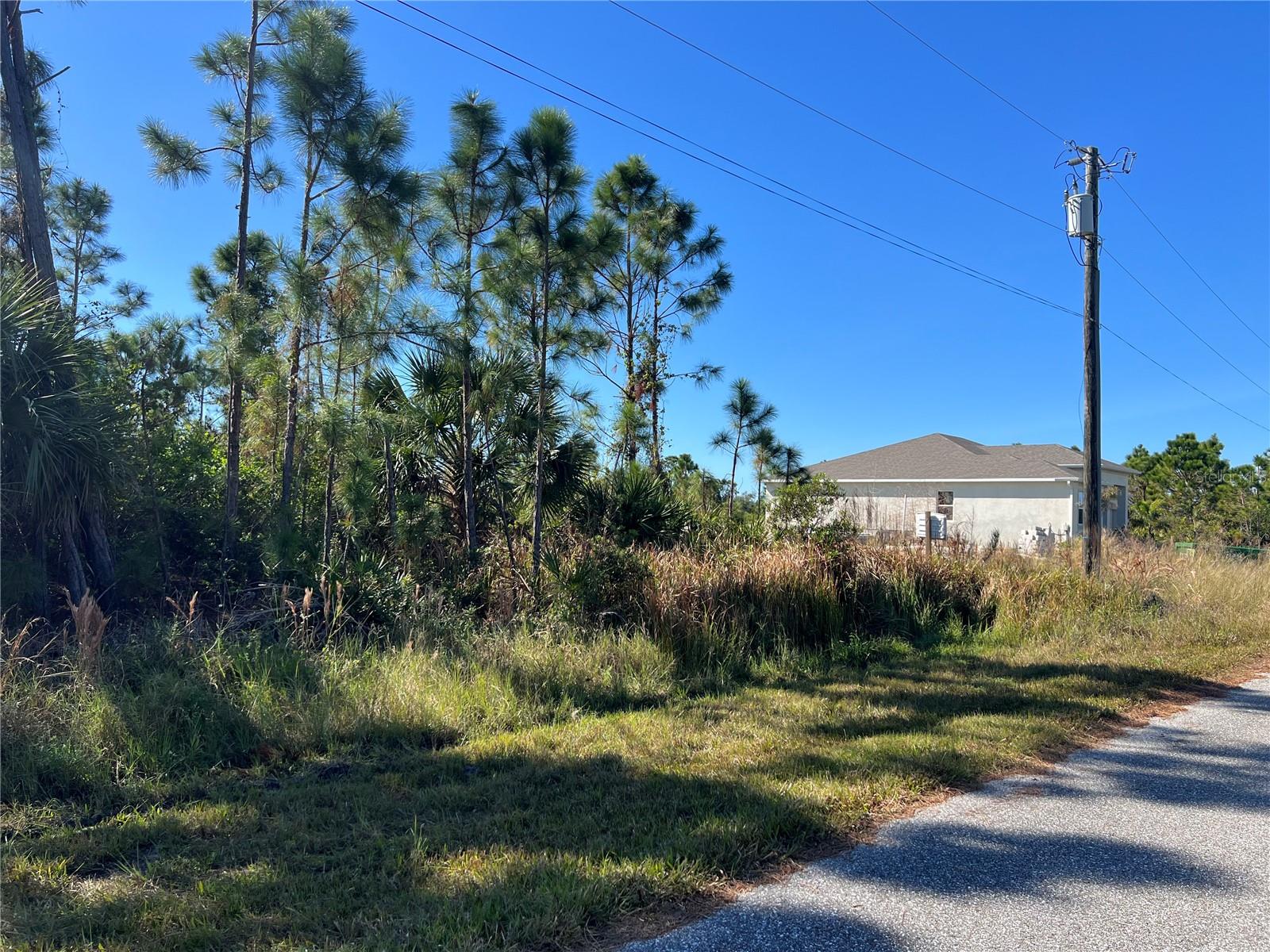 14049 NEWSON LN, PORT CHARLOTTE, FL, 33981