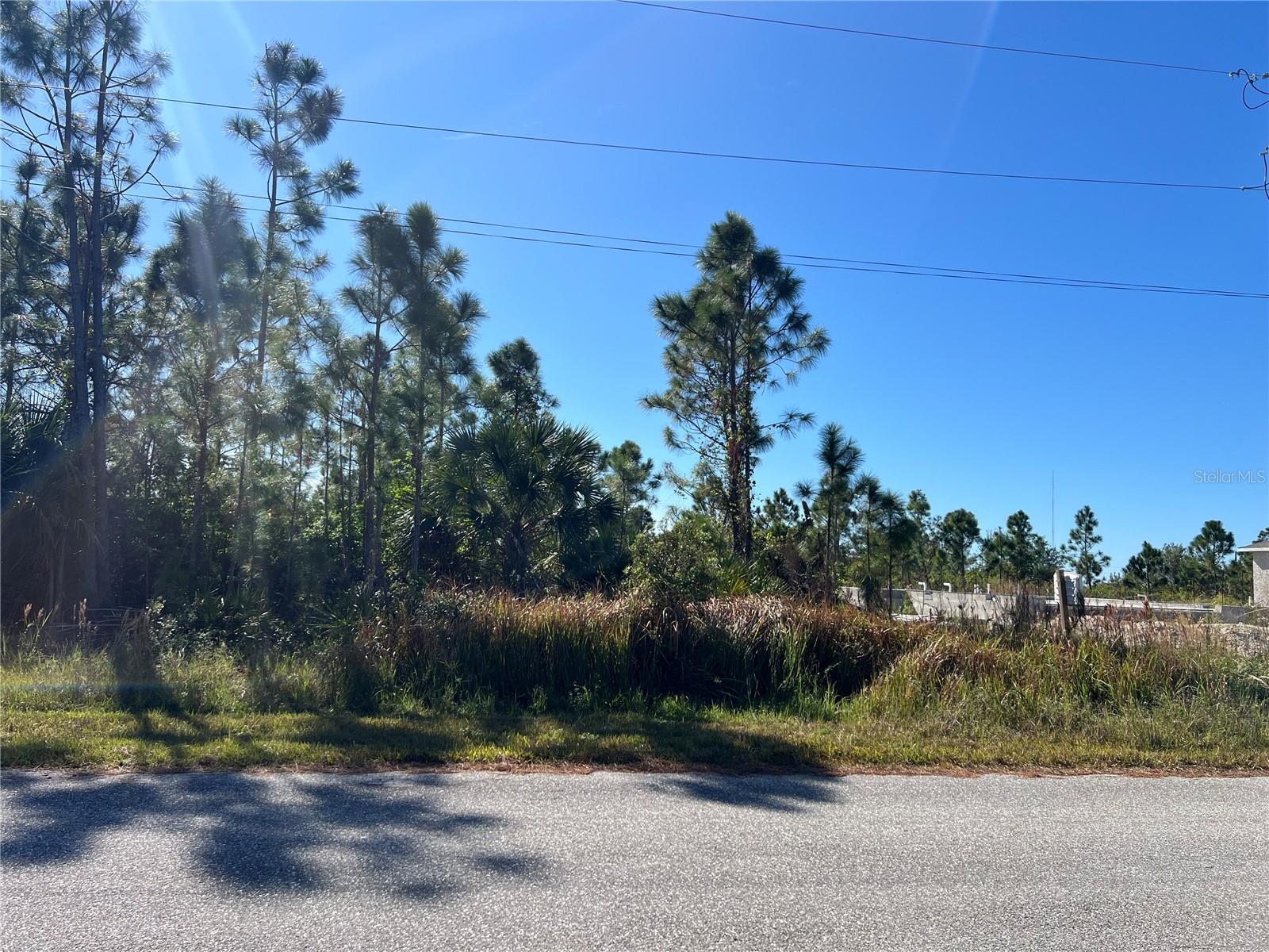 14049 NEWSON LN, PORT CHARLOTTE, FL, 33981