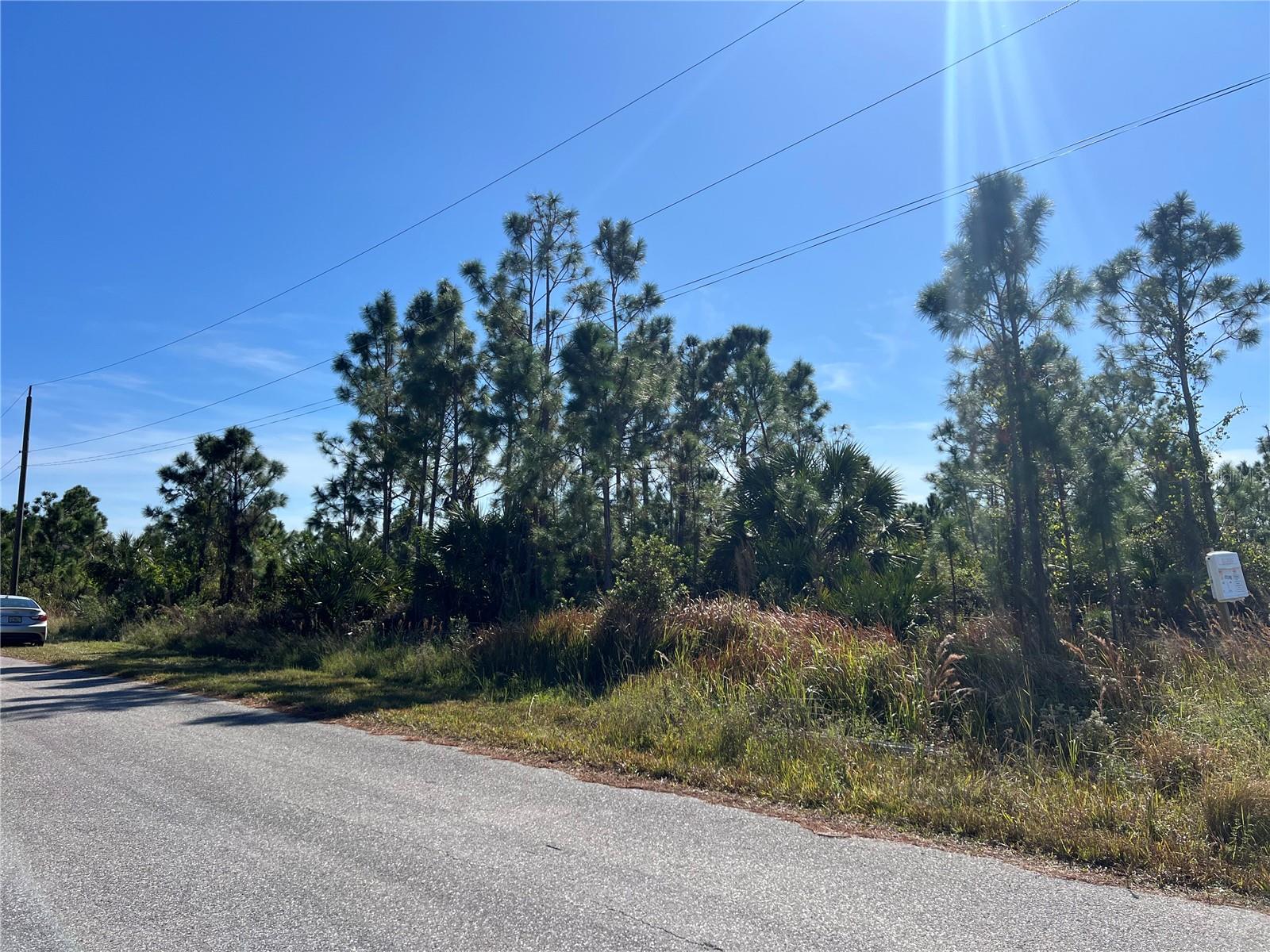 14049 NEWSON LN, PORT CHARLOTTE, FL, 33981