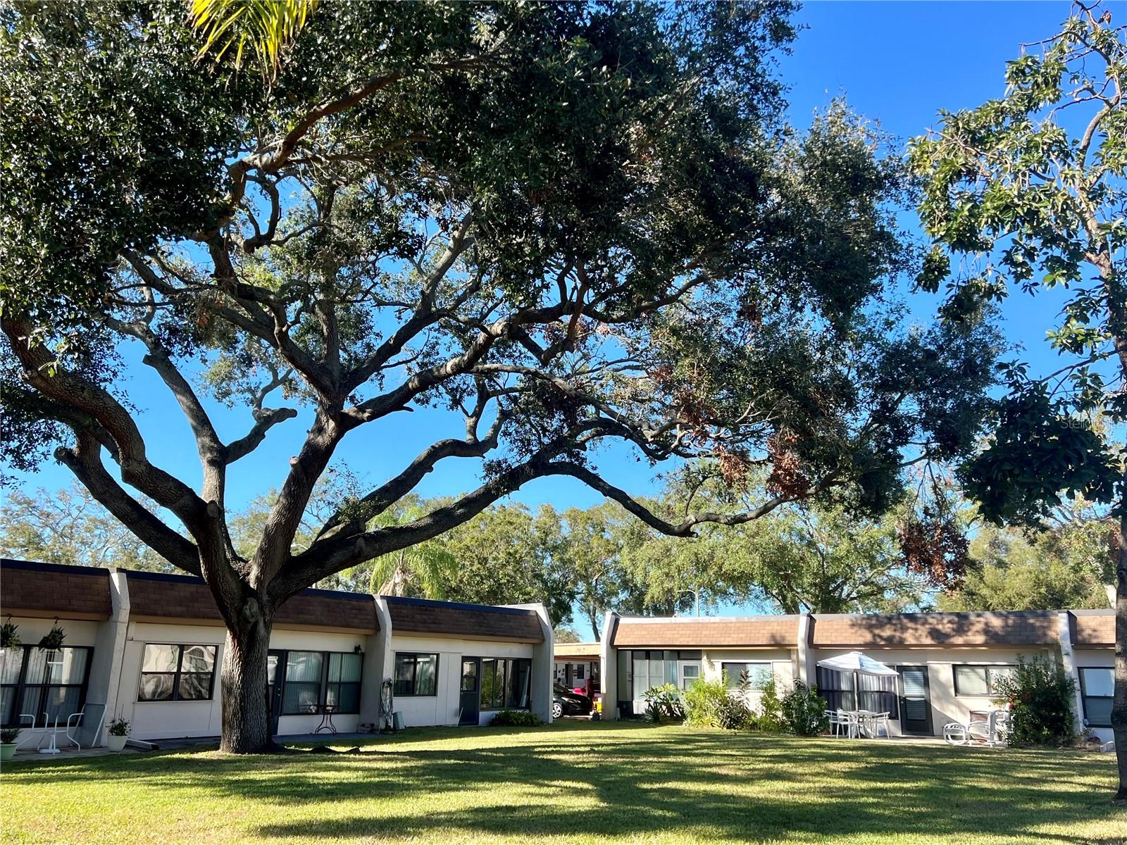 2936 FEATHER DR #68C, CLEARWATER, FL, 33759