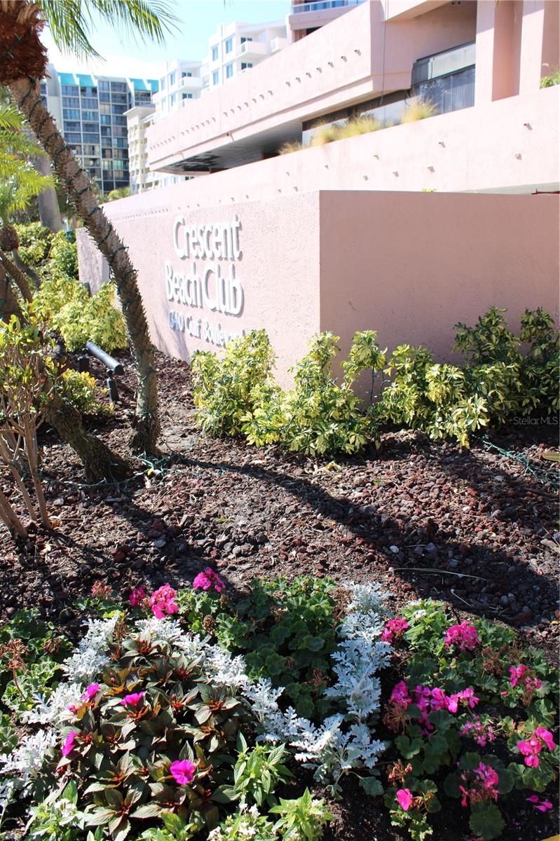 1340 GULF BLVD #7F, CLEARWATER, FL, 33767