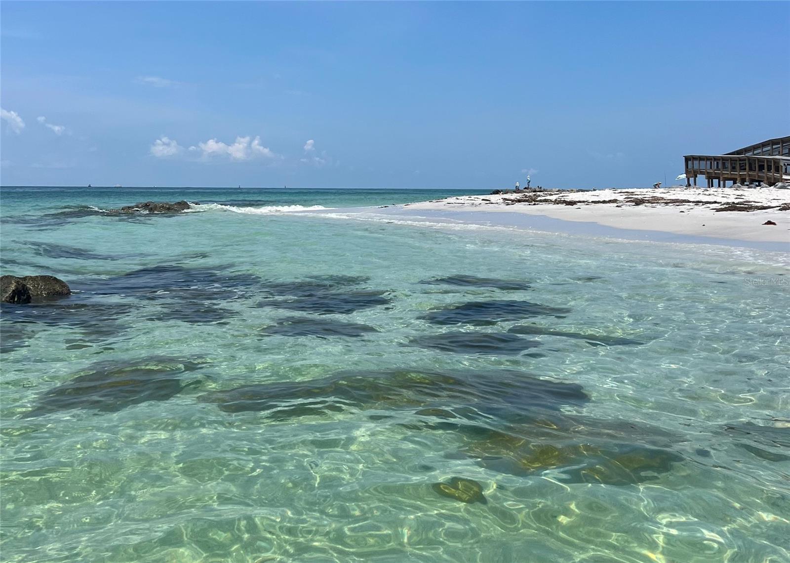 19874 BENISSIMO DR, VENICE, FL, 34293