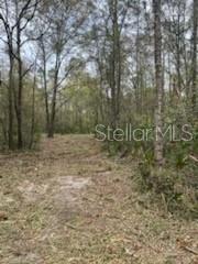 OFF NE 628TH ST, OLD TOWN, FL, 32680