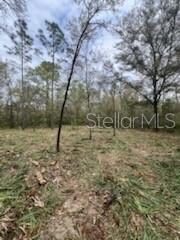 OFF NE 628TH ST, OLD TOWN, FL, 32680