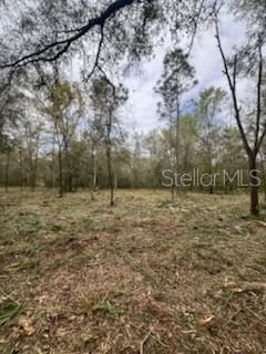 OFF NE 628TH ST, OLD TOWN, FL, 32680