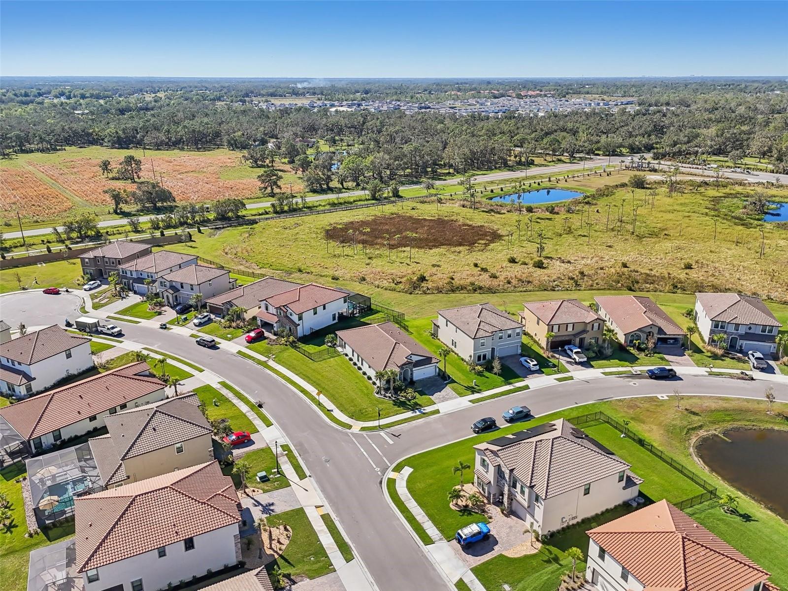 8303 DOVE BOG TER, PARRISH, FL, 34219