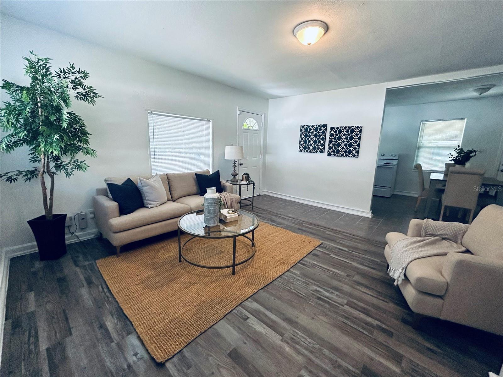 1719 E CAYUGA ST, TAMPA, FL, 33610