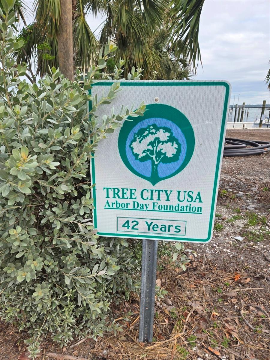 1628 SAND KEY ESTATES CT, CLEARWATER BEACH, FL, 33767