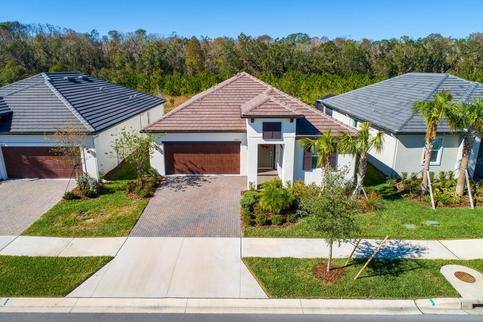 16819 SHELL BAY DR, LAND O LAKES, FL, 34638