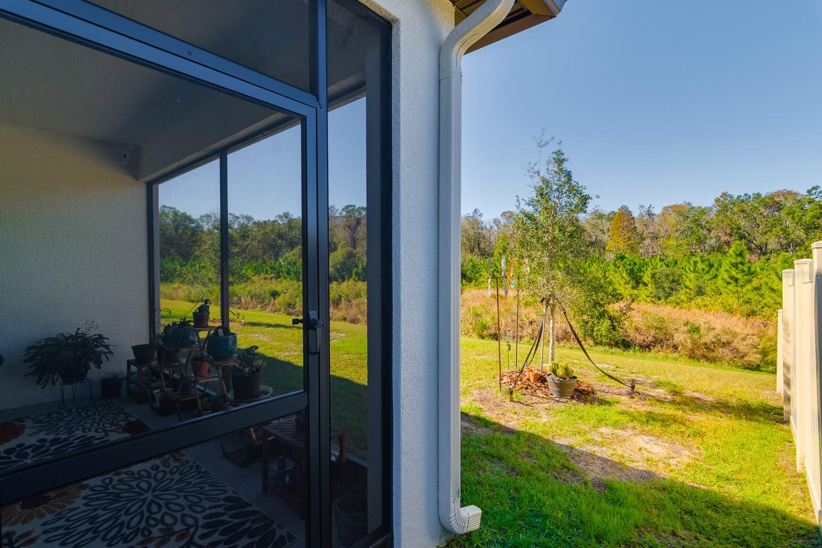 16819 SHELL BAY DR, LAND O LAKES, FL, 34638