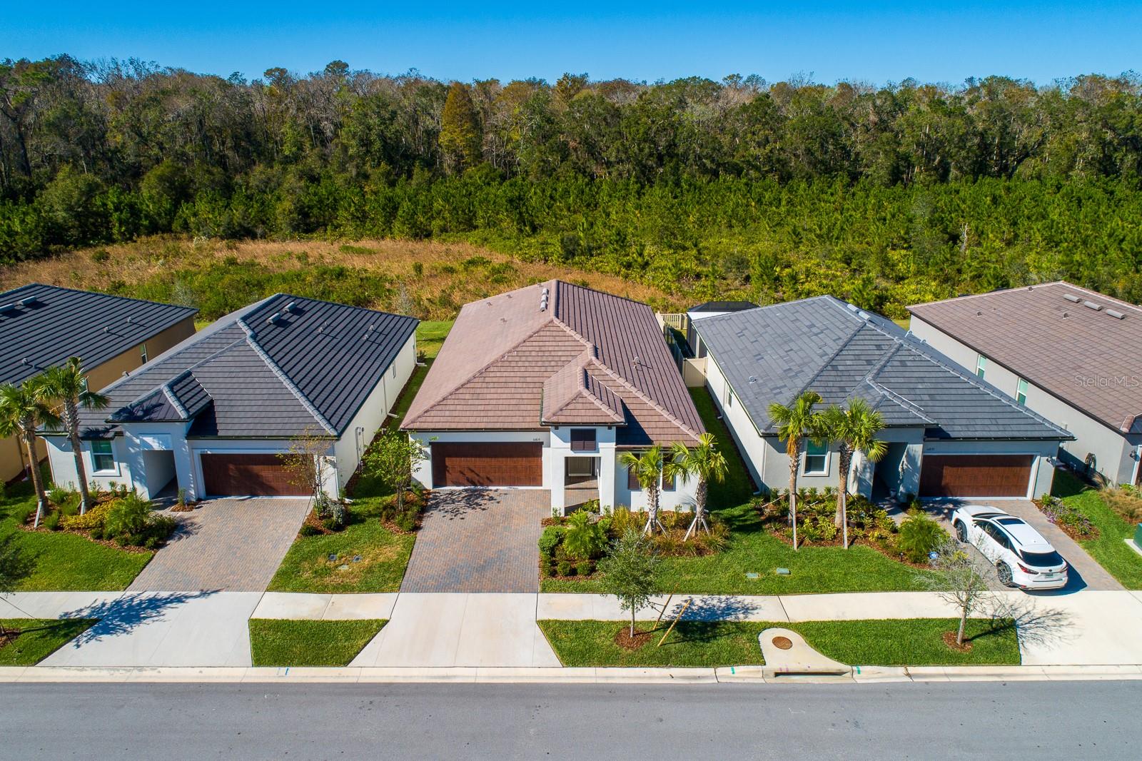 16819 SHELL BAY DR, LAND O LAKES, FL, 34638