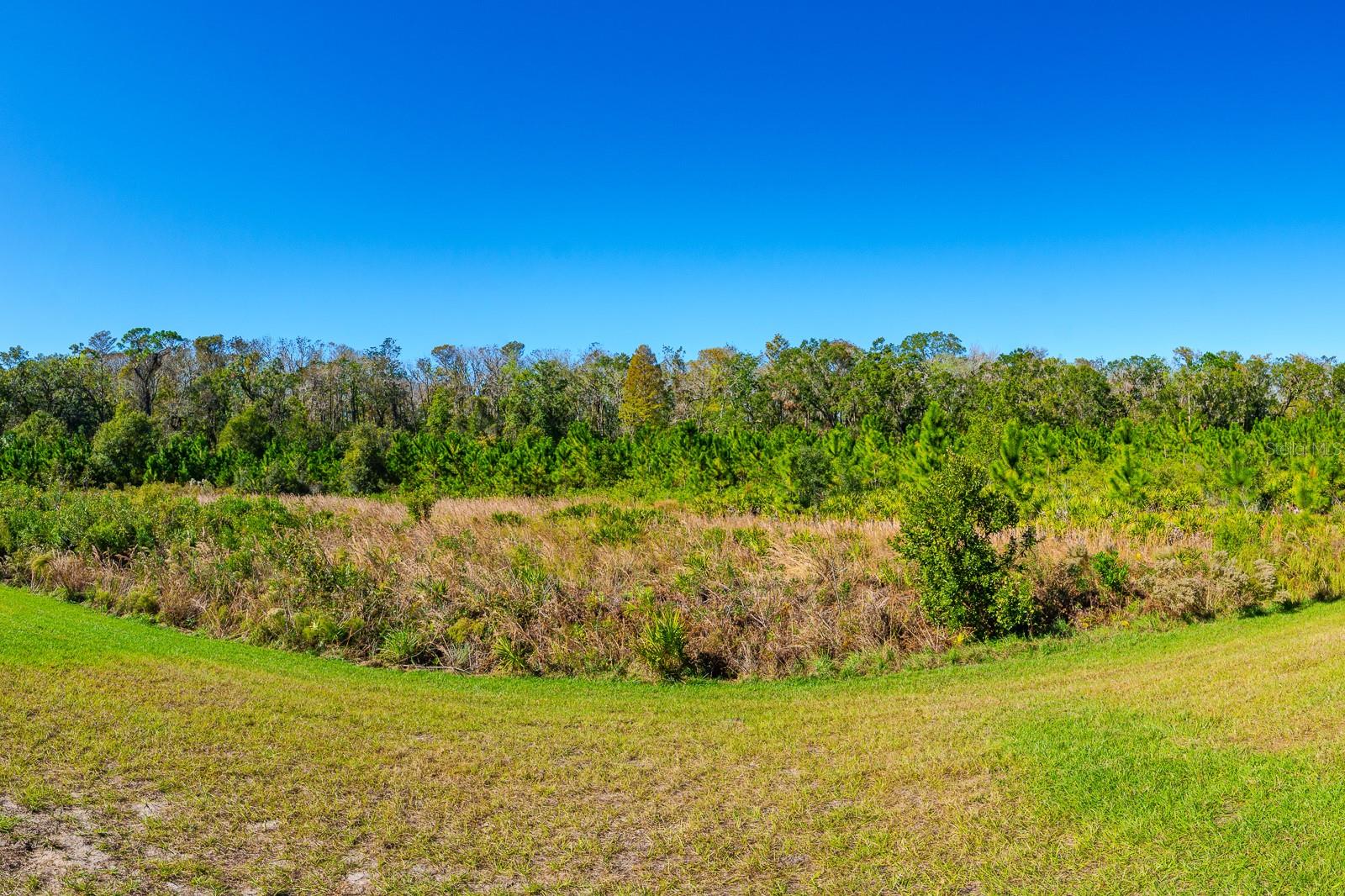 16819 SHELL BAY DR, LAND O LAKES, FL, 34638