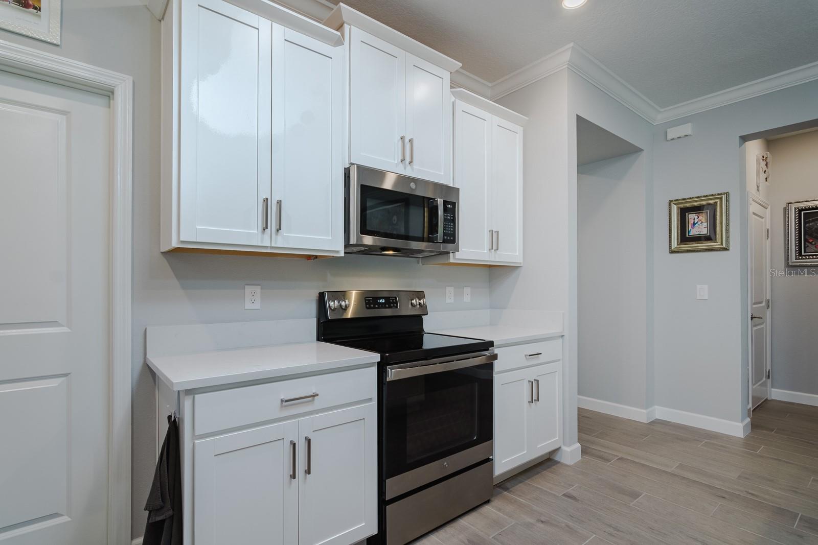 16819 SHELL BAY DR, LAND O LAKES, FL, 34638