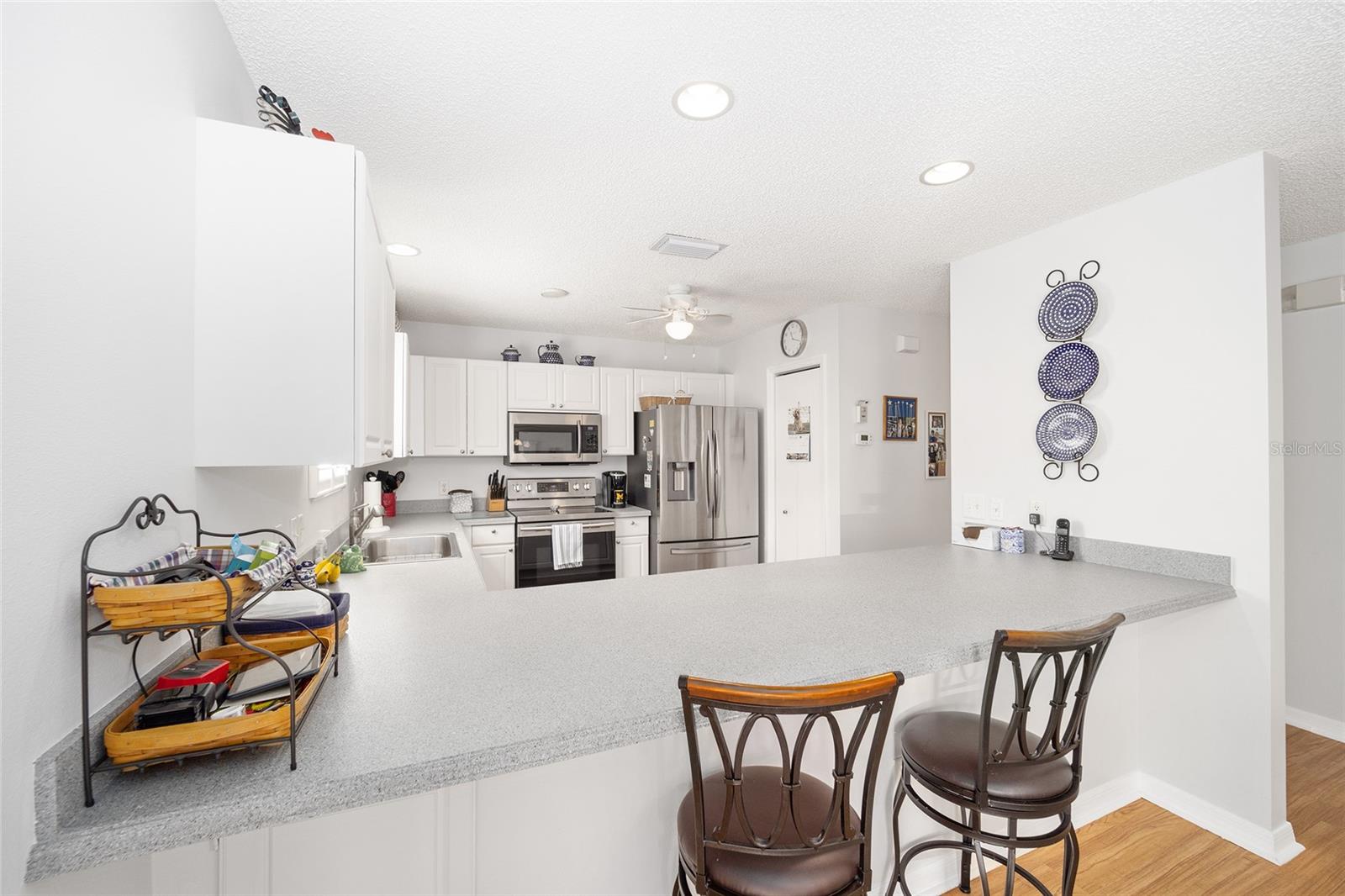 1405 CONCHAS DR, THE VILLAGES, FL, 32162