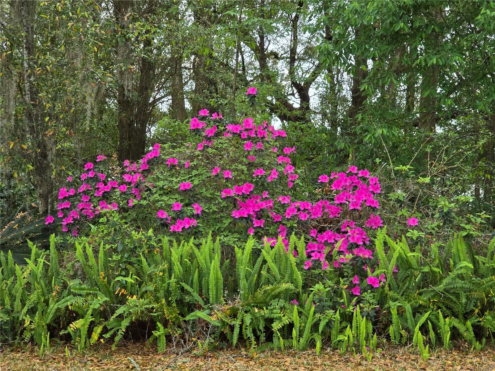 10975 SW 69TH CIR, OCALA, FL, 34476