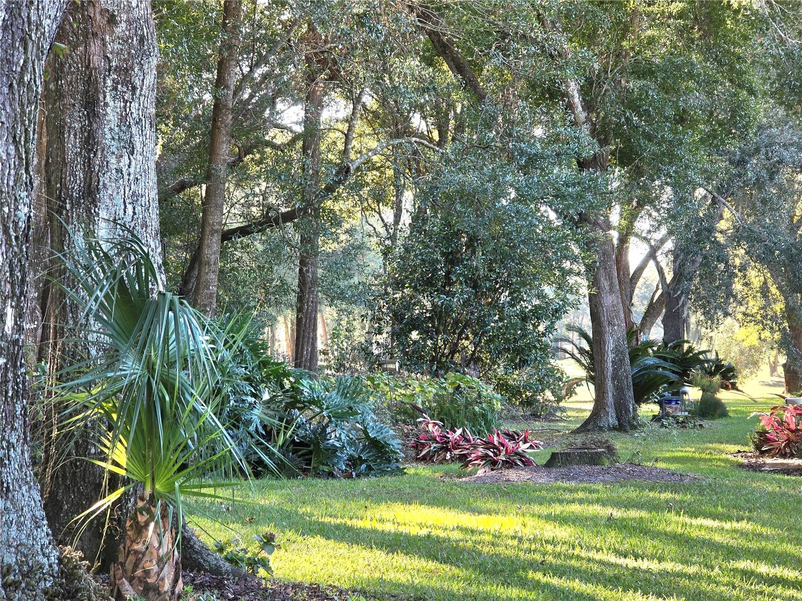 10975 SW 69TH CIR, OCALA, FL, 34476