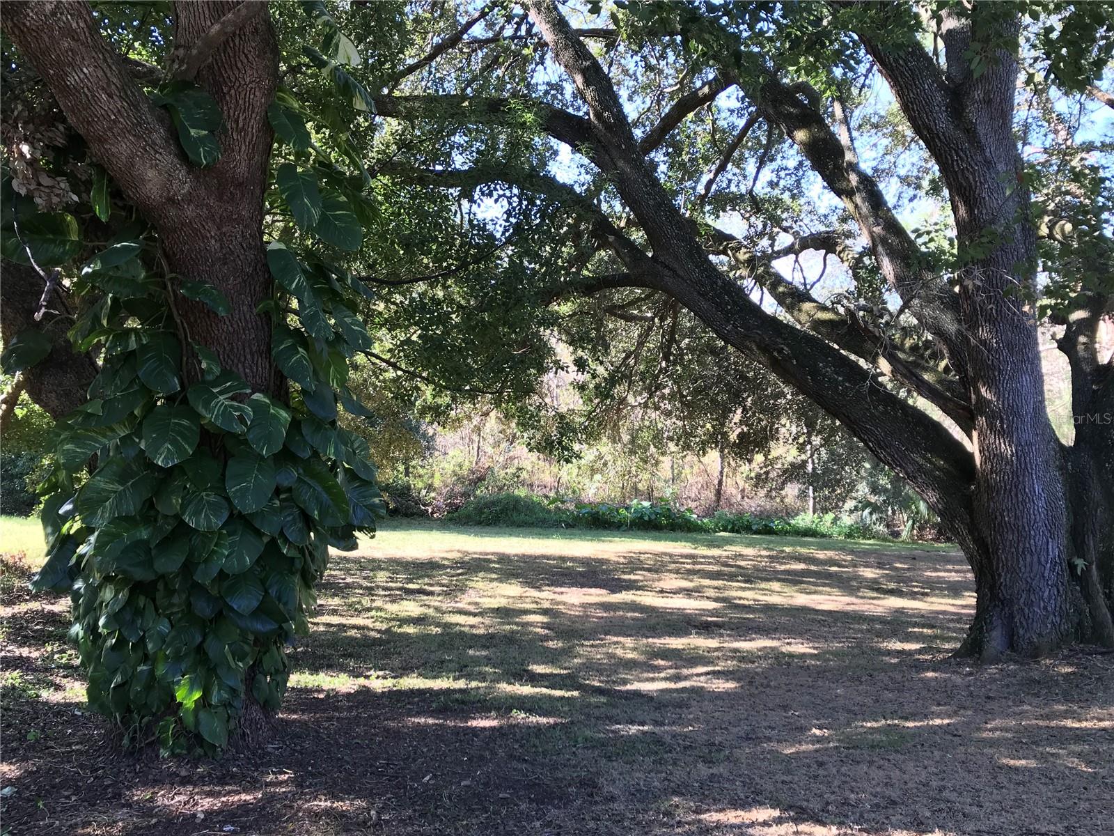 11 THE CRESCENT, MINNEOLA, FL, 34715