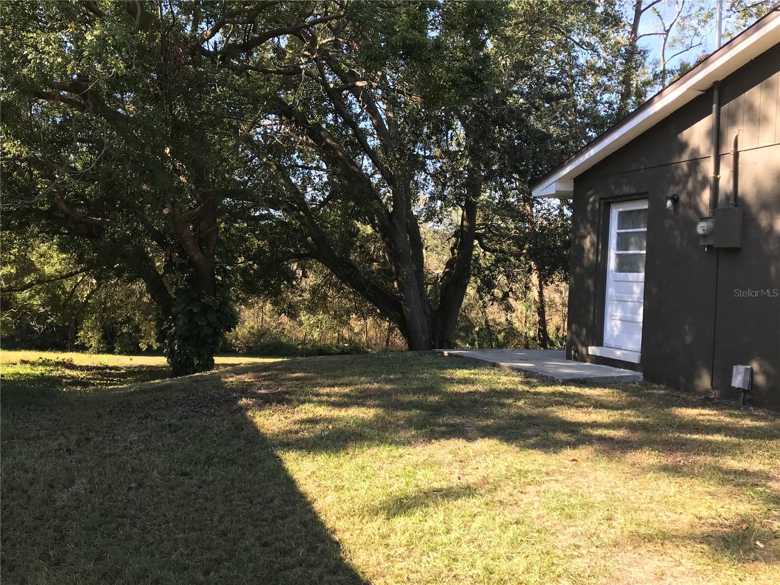 11 THE CRESCENT, MINNEOLA, FL, 34715