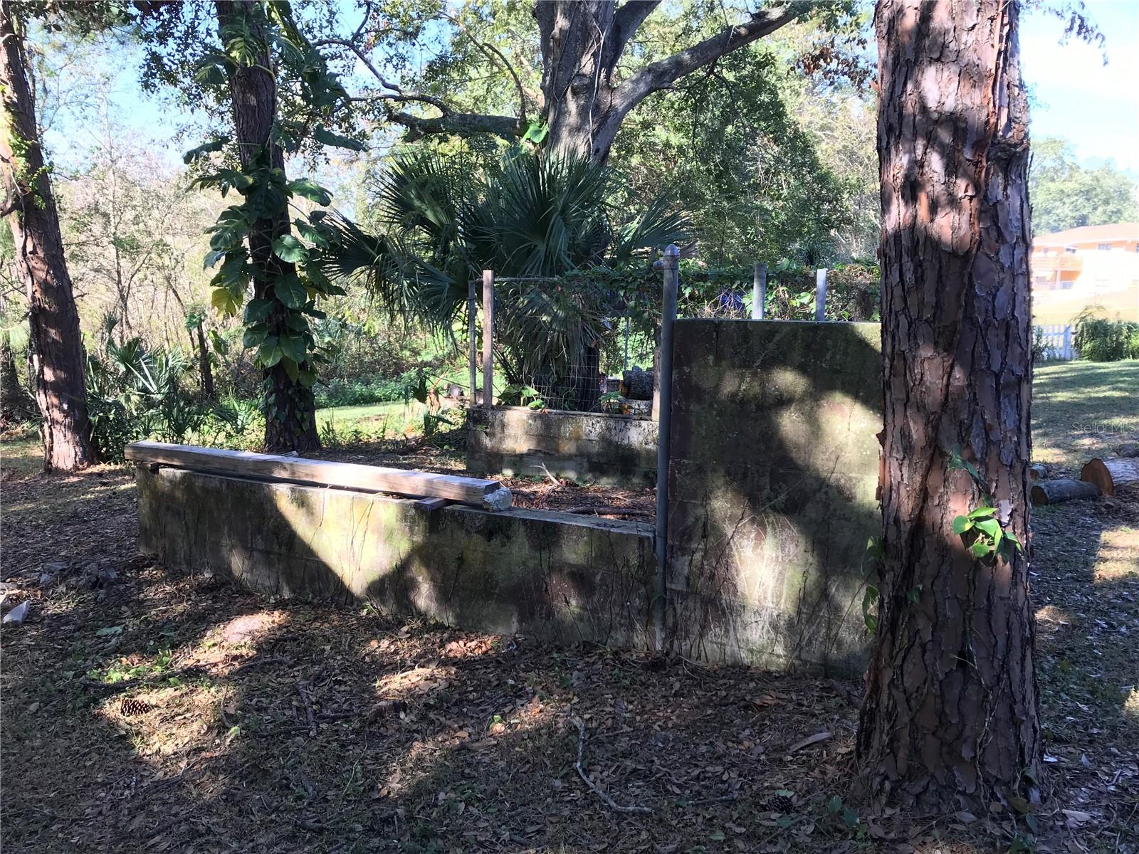 11 THE CRESCENT, MINNEOLA, FL, 34715