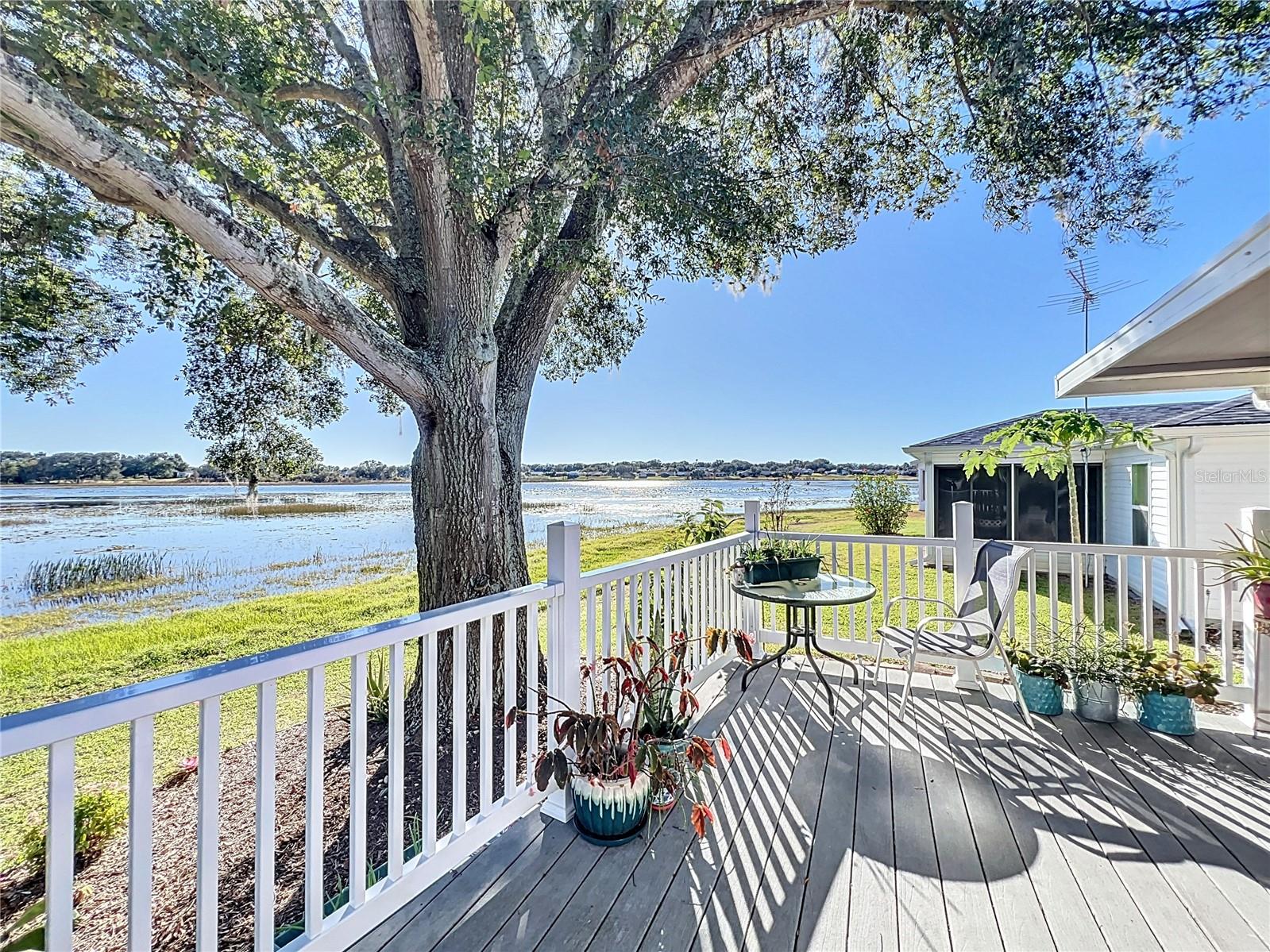 25007 BELLEVUE, LEESBURG, FL, 34748