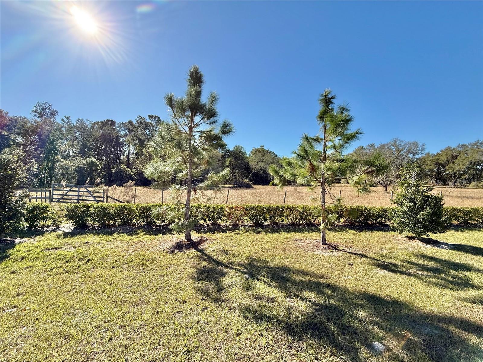 34004 SKY BLOSSOM CIR, LEESBURG, FL, 34788