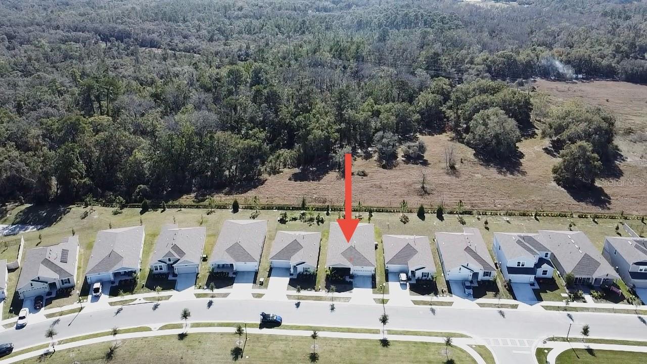 34004 SKY BLOSSOM CIR, LEESBURG, FL, 34788