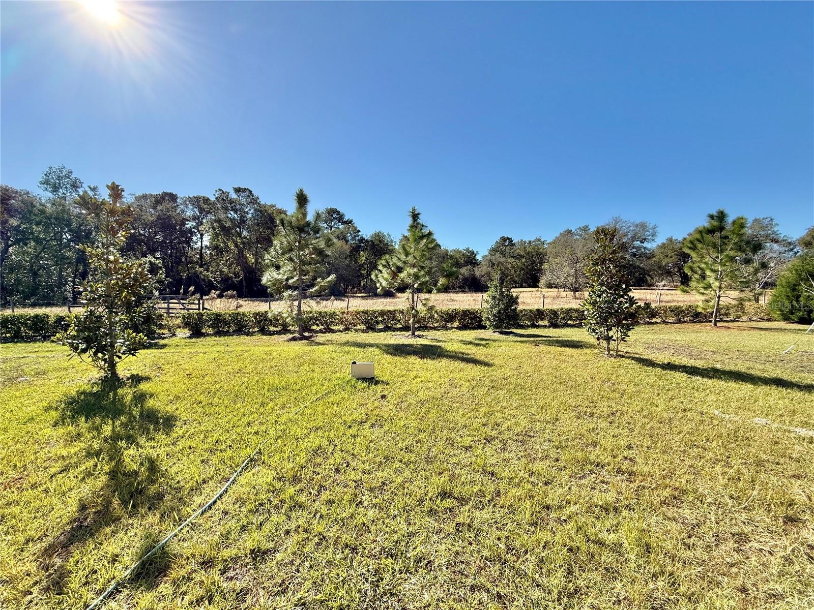 34004 SKY BLOSSOM CIR, LEESBURG, FL, 34788