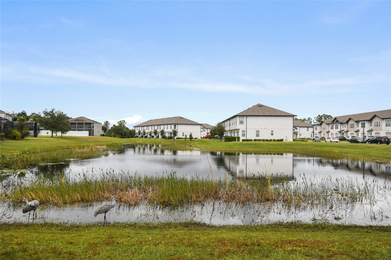 1609 PELICAN DR, DAVENPORT, FL, 33896