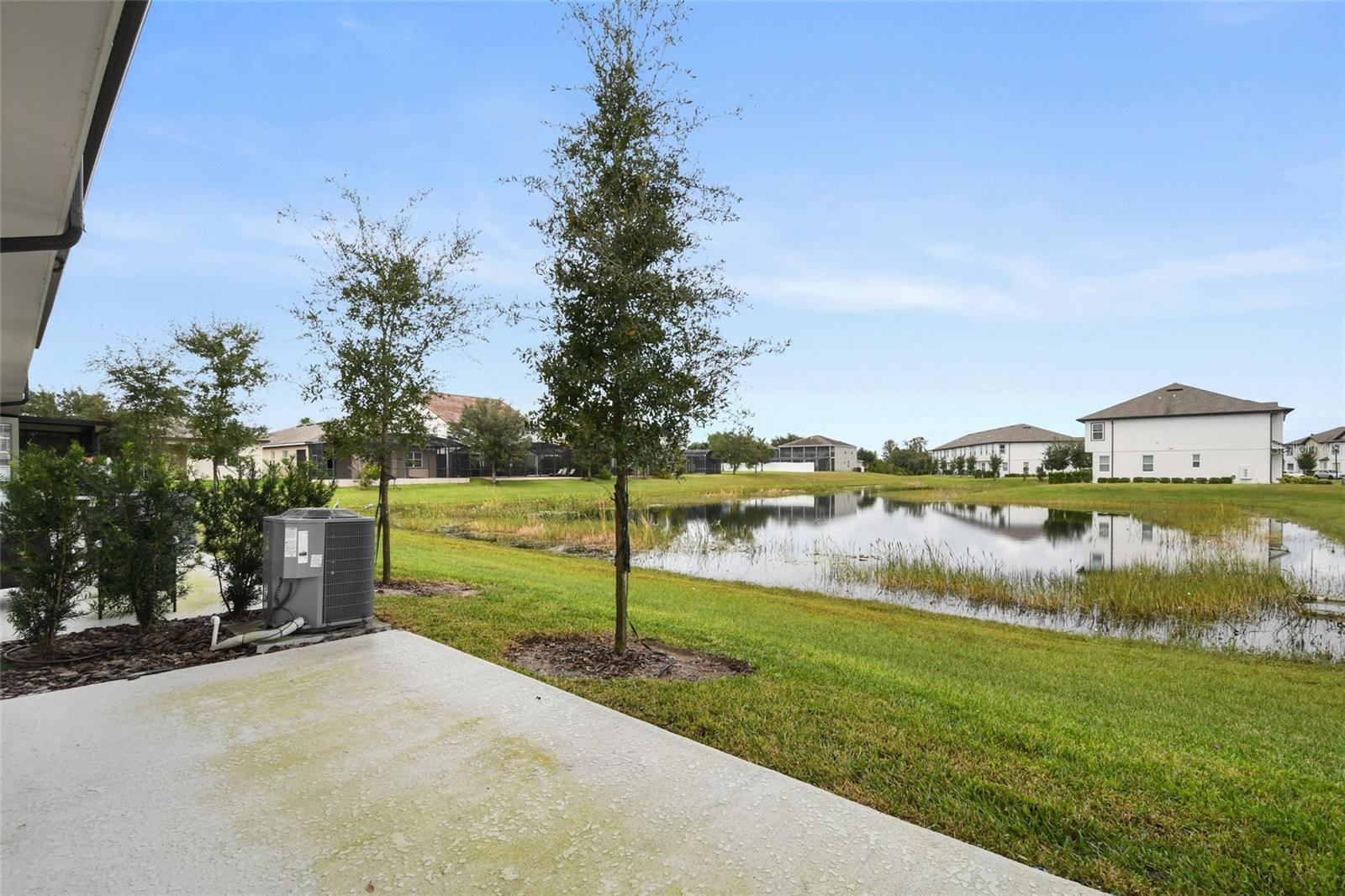 1609 PELICAN DR, DAVENPORT, FL, 33896