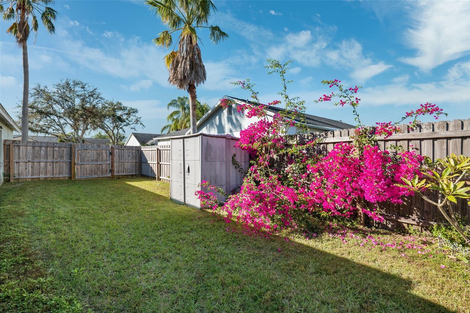 10514 SALISBURY ST, RIVERVIEW, FL, 33569