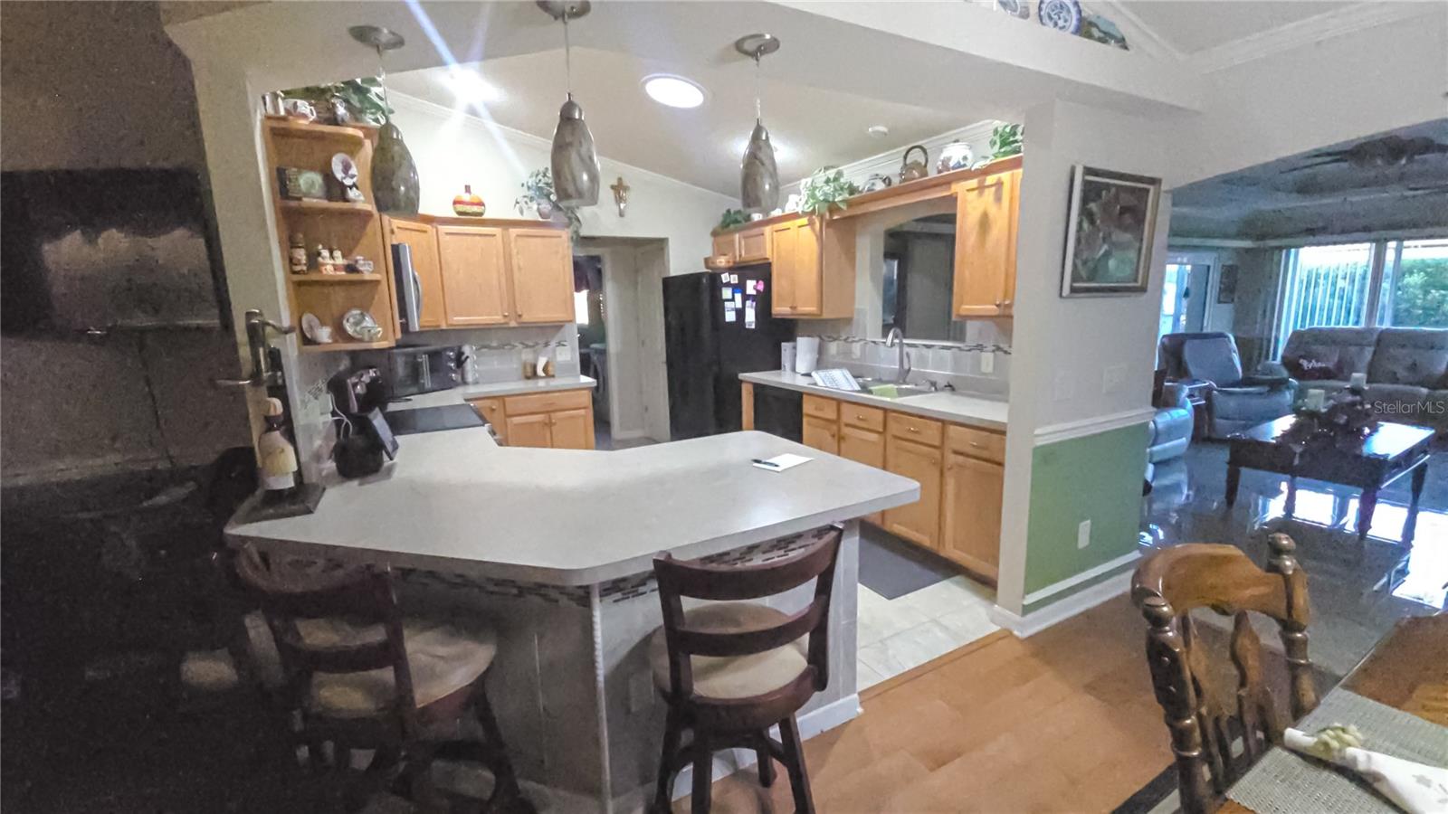 3714 GRAVEL CT, THE VILLAGES, FL, 32163