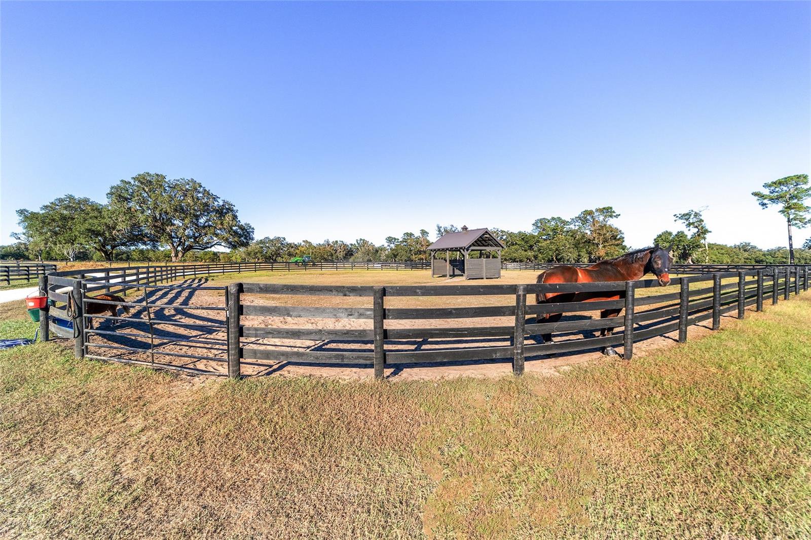 9020 NW 60TH AVE AVE, OCALA, FL, 34482