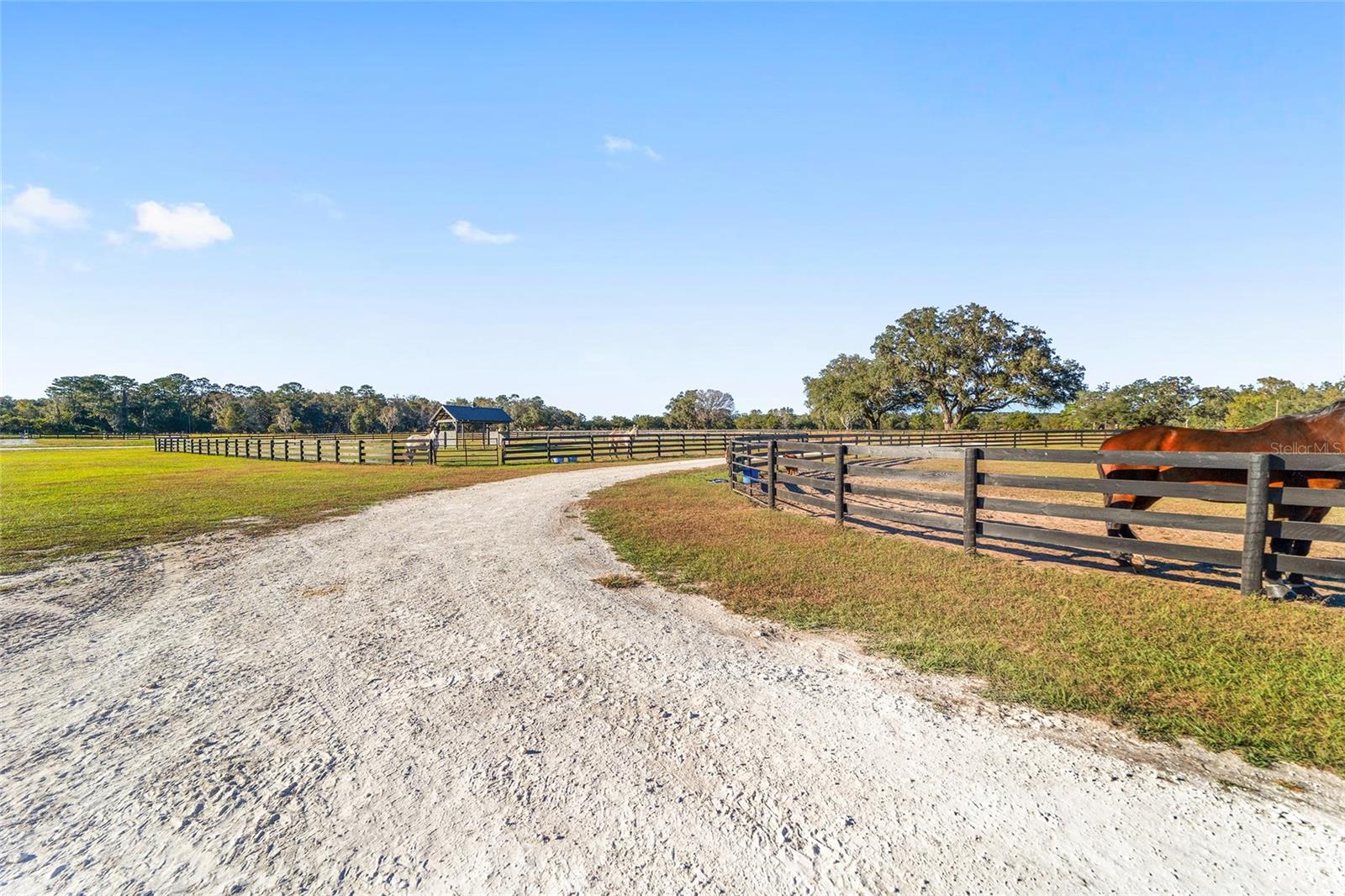 9020 NW 60TH AVE AVE, OCALA, FL, 34482