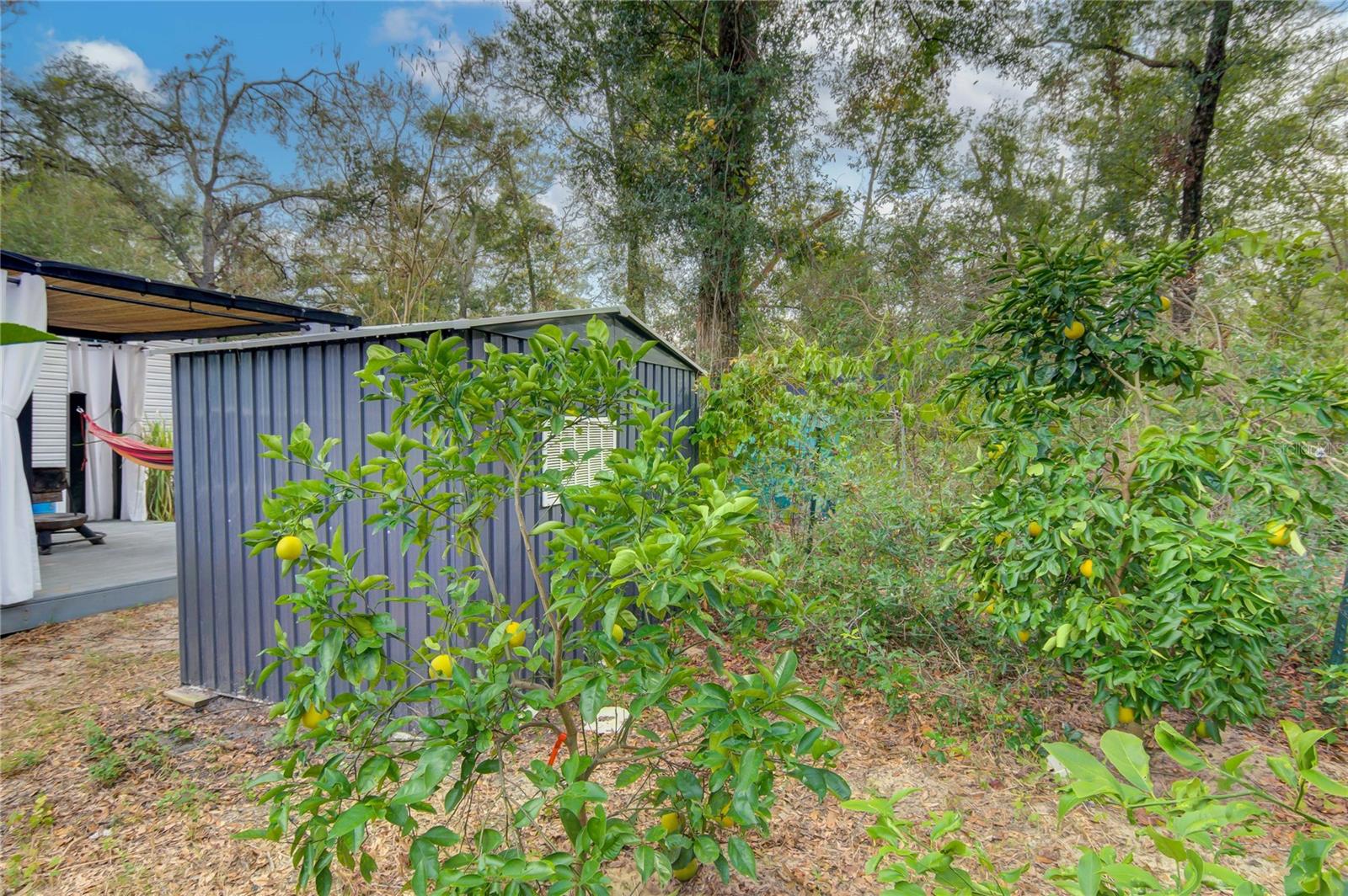 262 PINE DR, BRONSON, FL, 32621