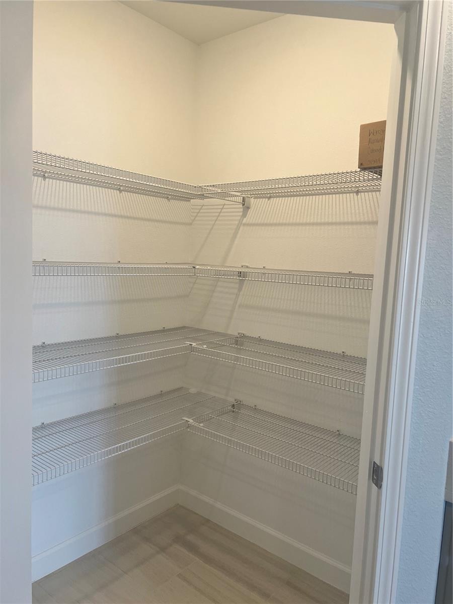 31349 CABANA RYE AVE, SAN ANTONIO, FL, 33576